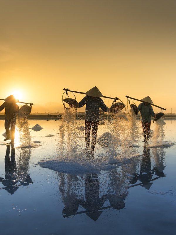 salt-harvesting-3060093_1280