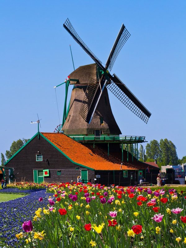 windmill-858143_1280